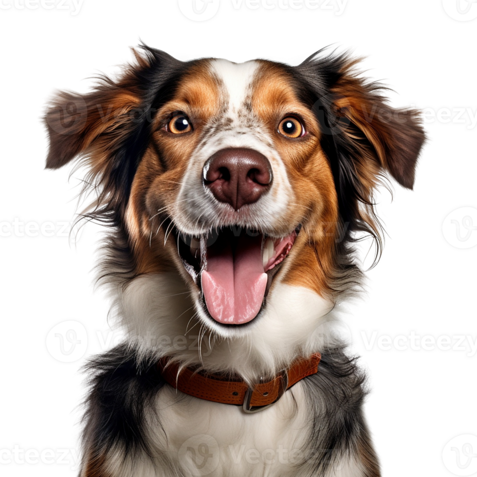 AI generated Very happy smiling dog portrait isolated on transparent background, created with generative AI png