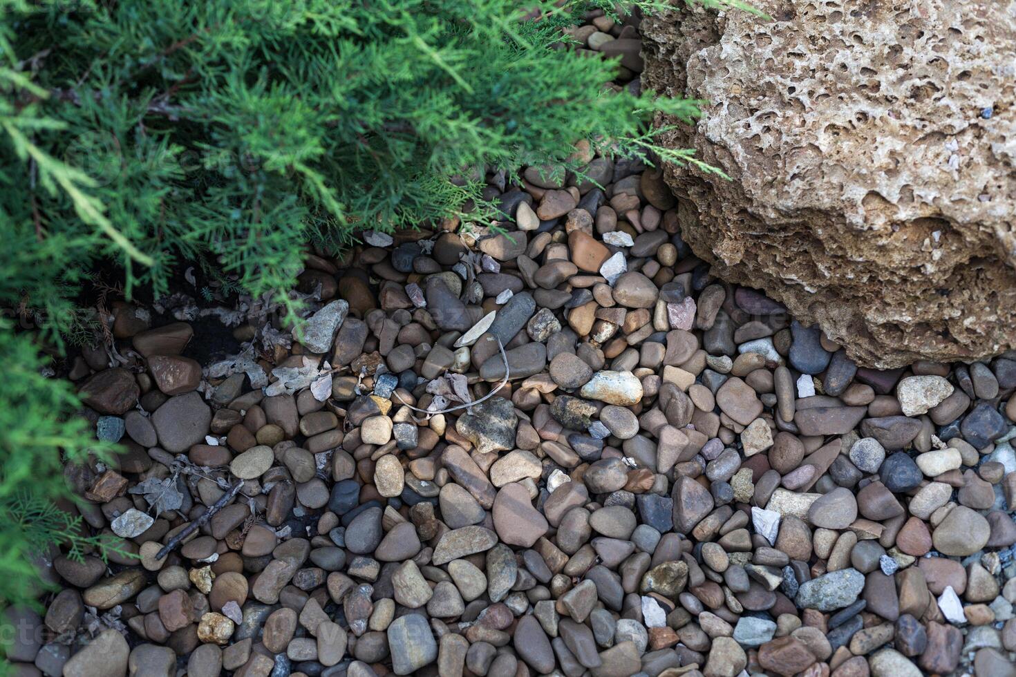 the boundary between the sea grass and stone photo