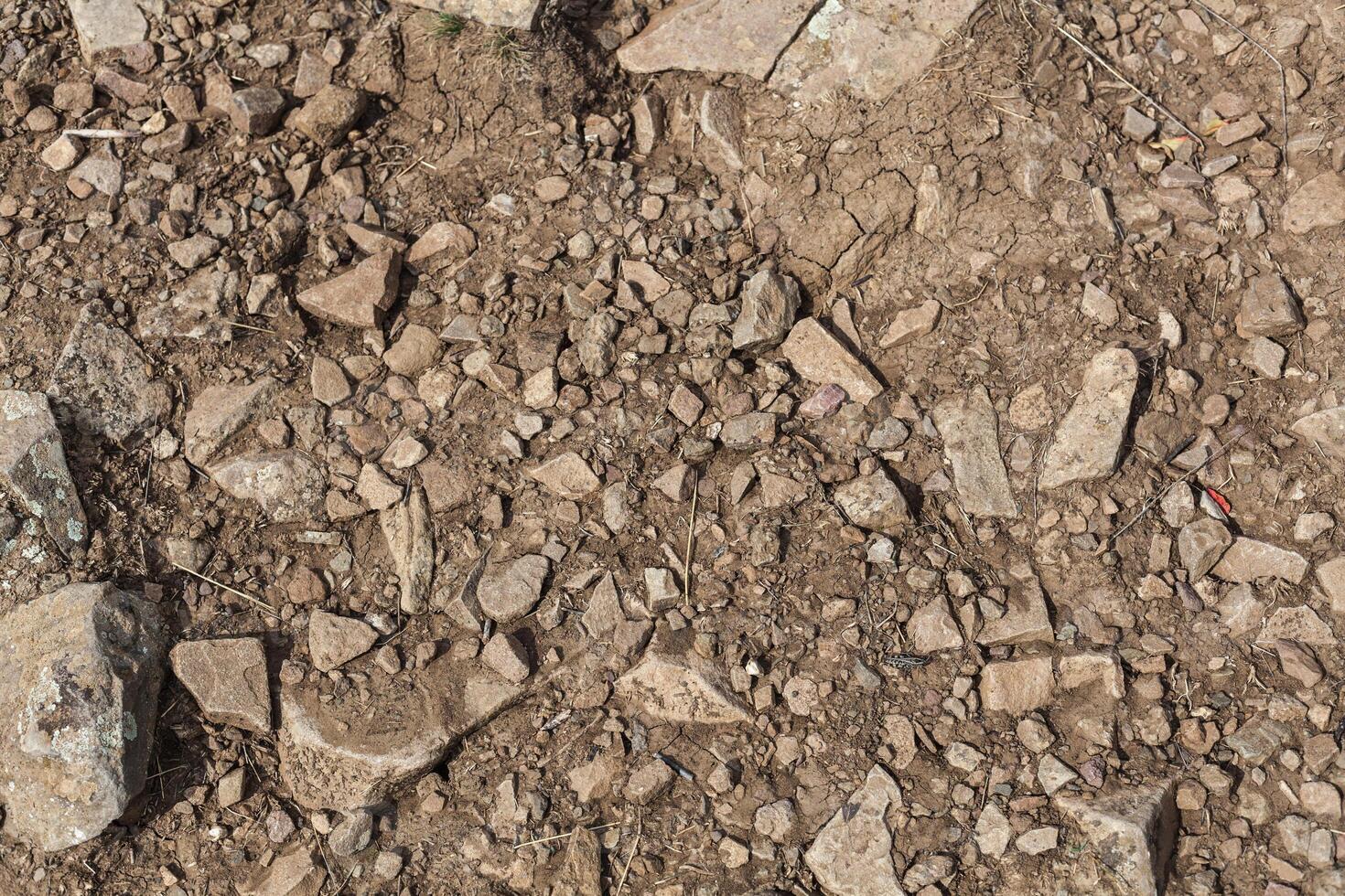 texture of sharp sea stones of different sizes photo