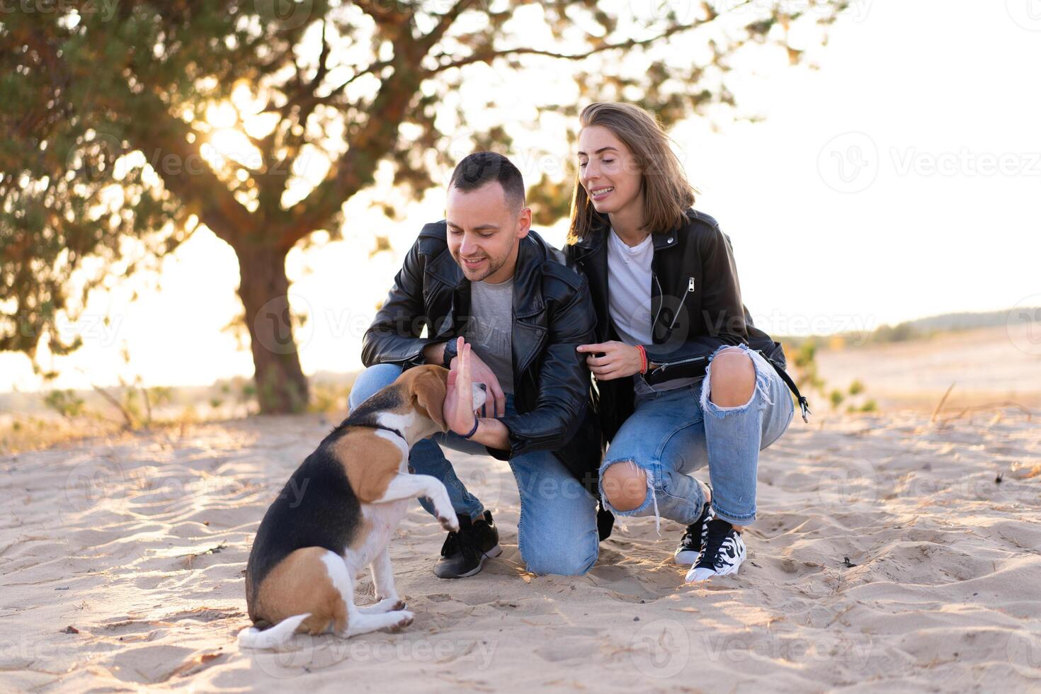 Young beautiful caucasian couple wearing leather jacket and jeans walks desert sand with Beagle dog best friend. photo