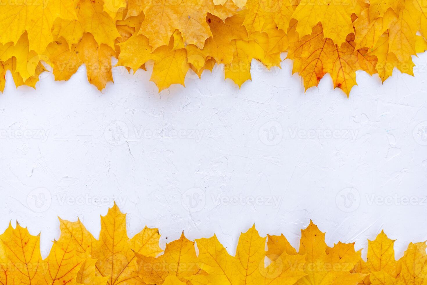Autumn leaves frame on white background top view Fall Border yellow and Orange Leaves vintage structure table Copy space for text. photo