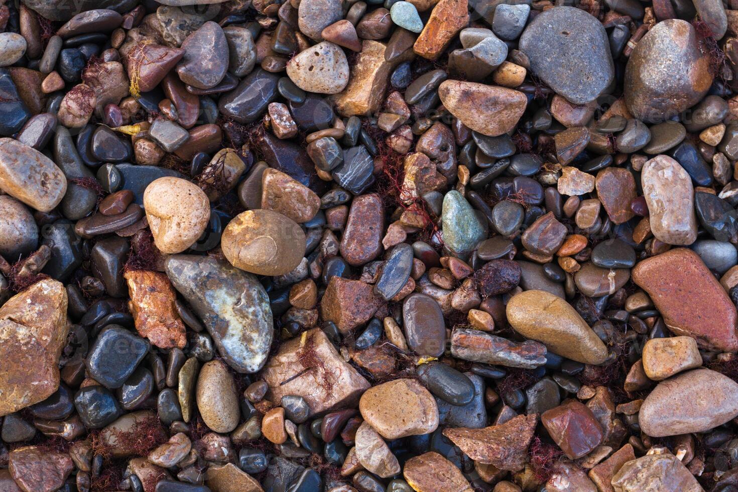 texture of wet shiny small sea stones photo