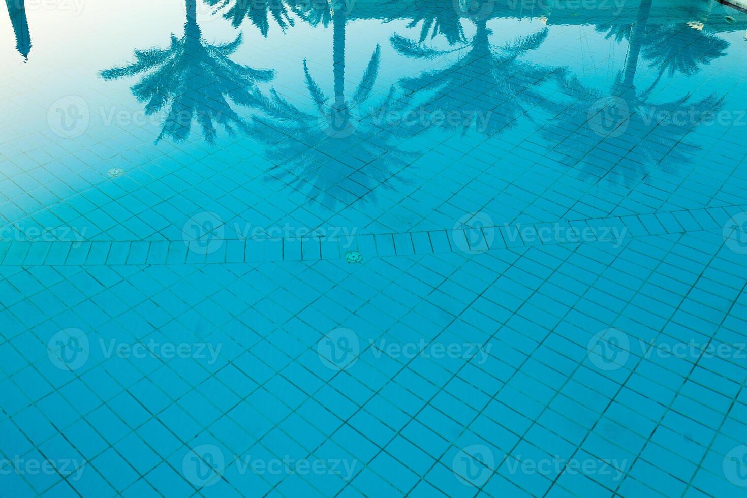 Coconut palm tree reflection on the swimming pool photo