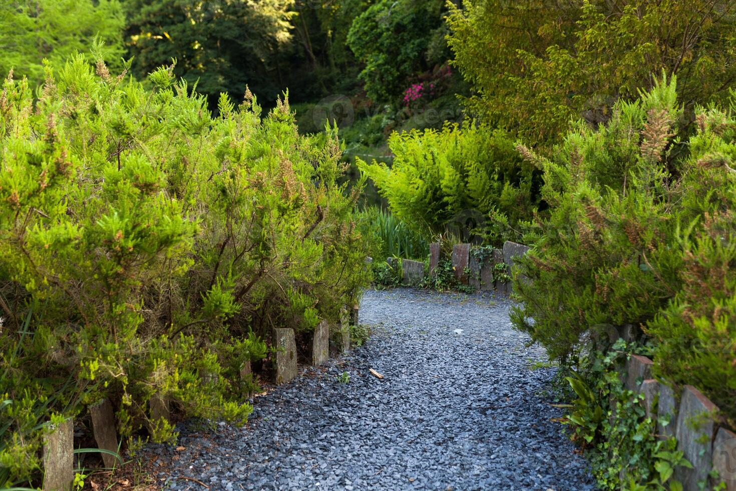 Botanical Garden Le Vallon du Stang Alar Brest France 27 may 2018 - a walking track photo