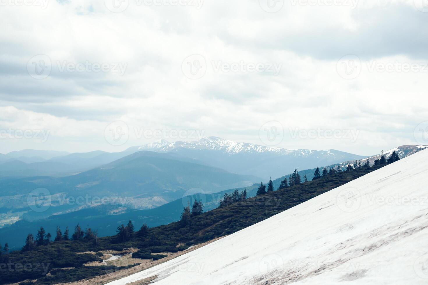 green grass with blue sky and snow mountain photo