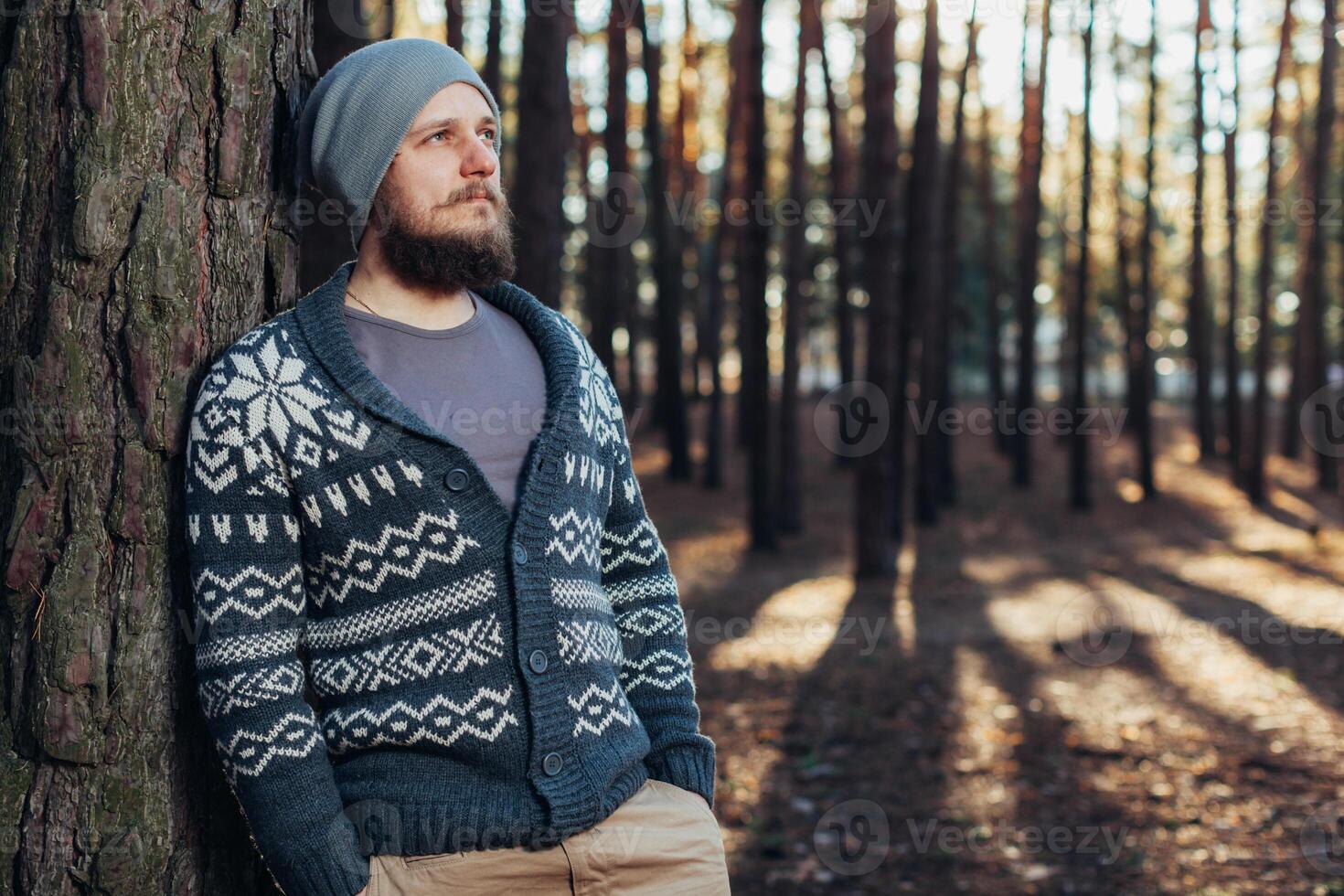 a young man with a beard walks in a pine forest. Portrait of a brutal bearded man Autumn forest photo