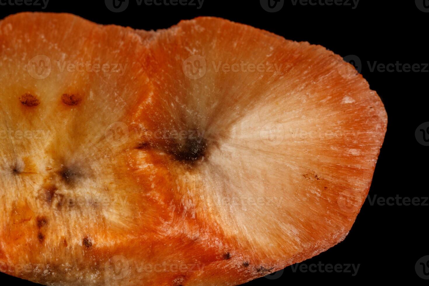 Macro stone Apophyllite mineral on black background photo