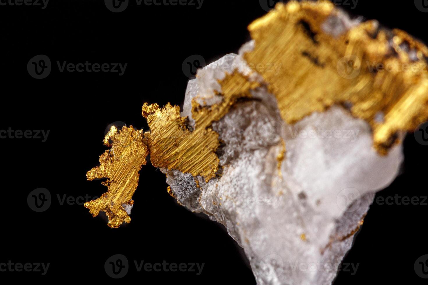 macro mineral stone gold in the rock on a black background photo