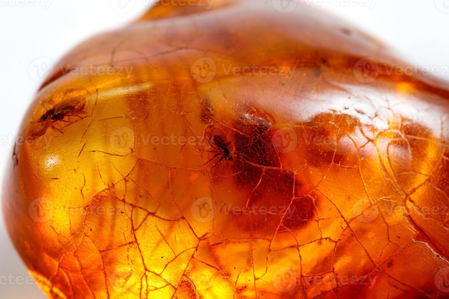 Macro stone mineral amber with insects, flies and beetles on a white background close up photo