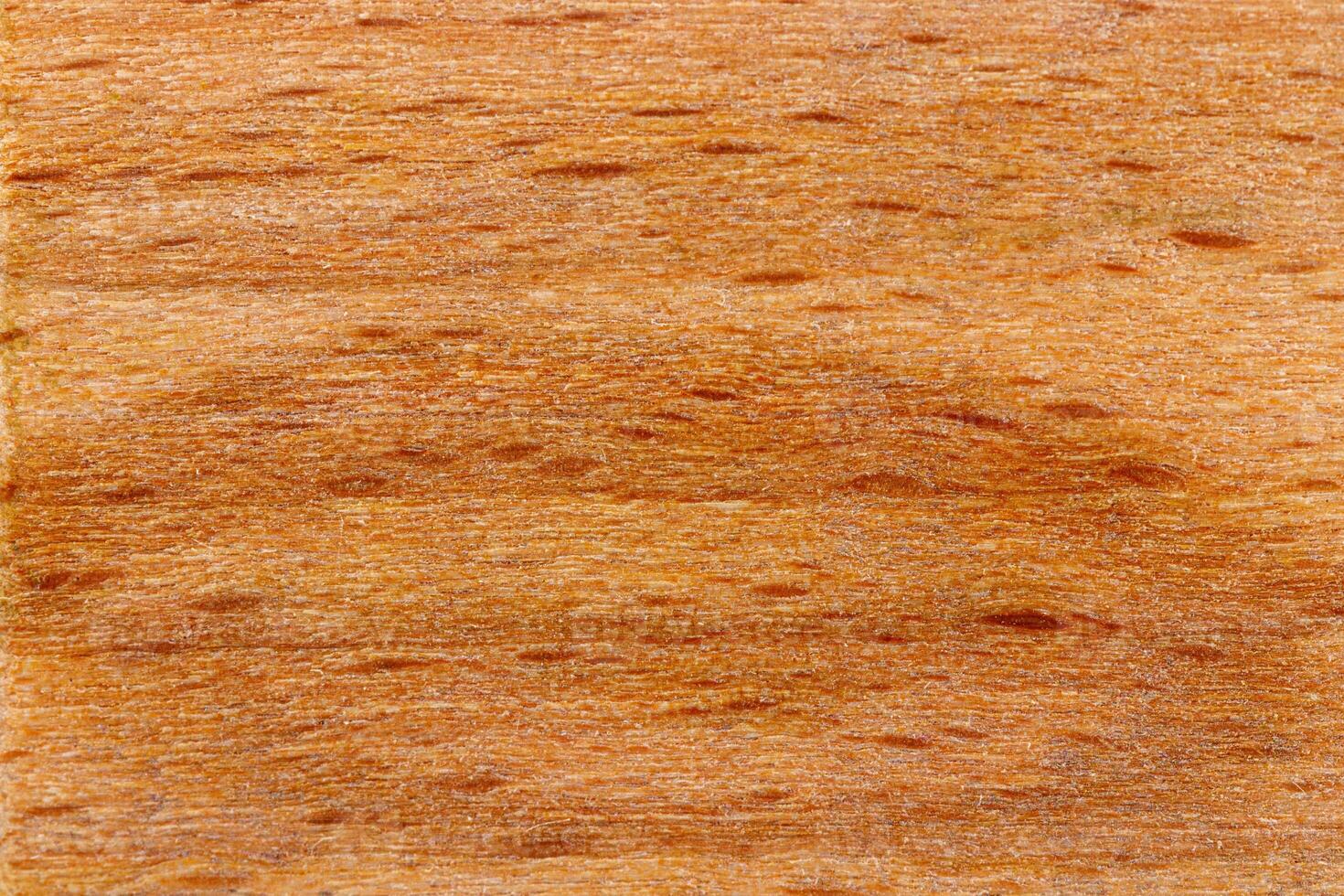 macro texture of yellow wood photo