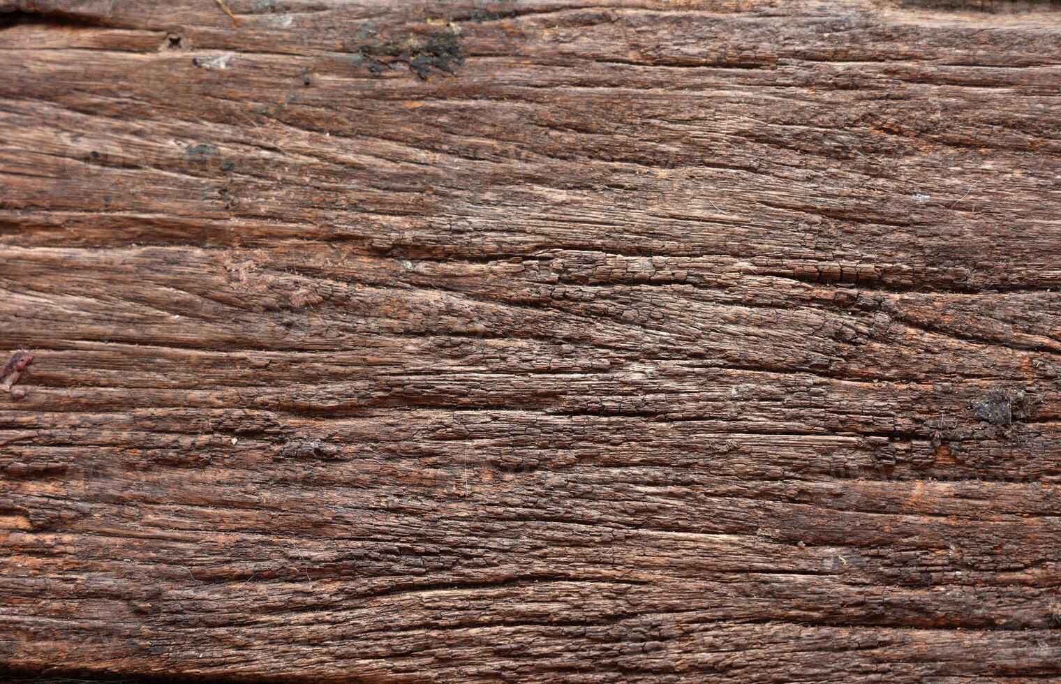 ancient ancient wood pattern background backdroup decorate wallpaper photo