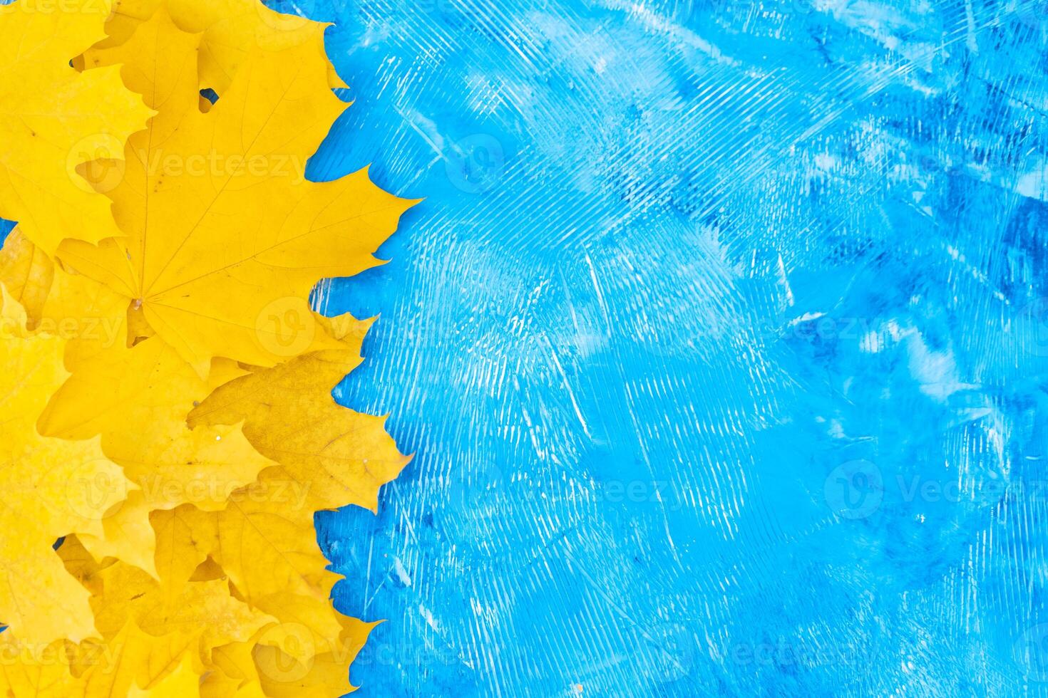 Autumn leaves frame on blue background top view Fall Border yellow and Orange Leaves vintage structure table Copy space for text. photo