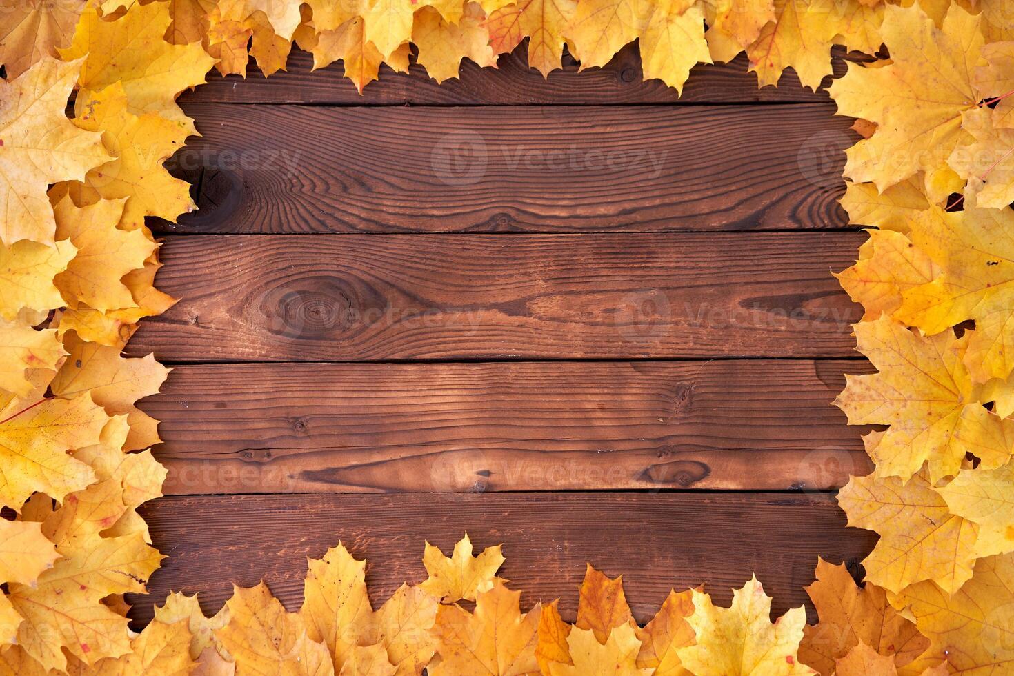 Autumn leaves frame on wooden background top view photo