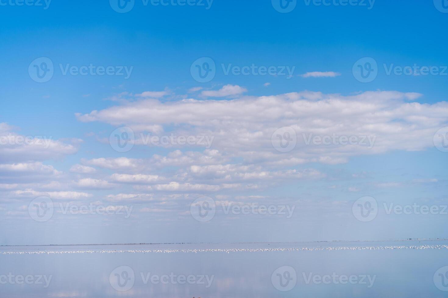 Dry sea endless sand beautiful clouds beautiful landscape estuary. photo