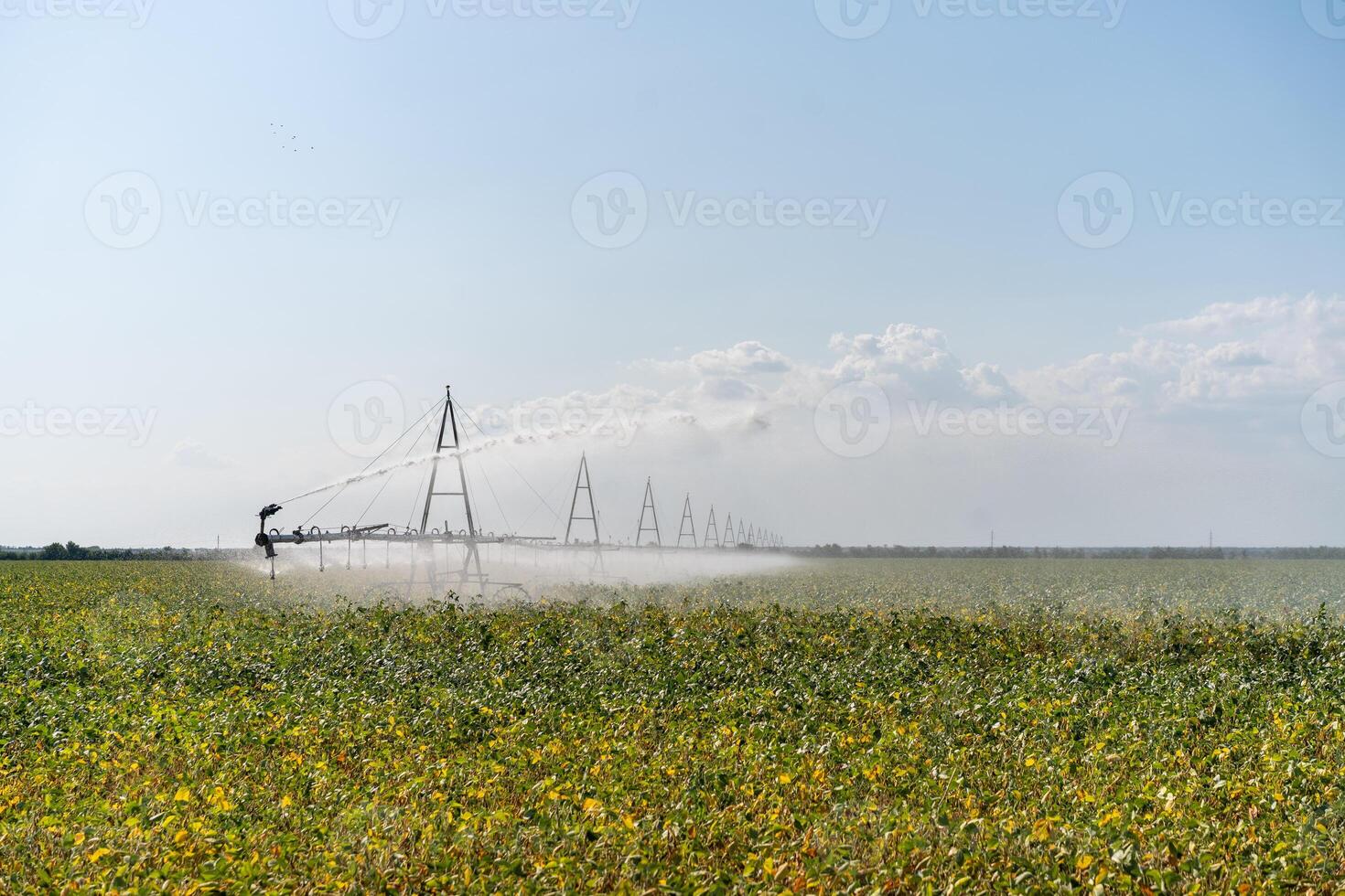 Irrigation System Watering Crops on Farm Field. photo