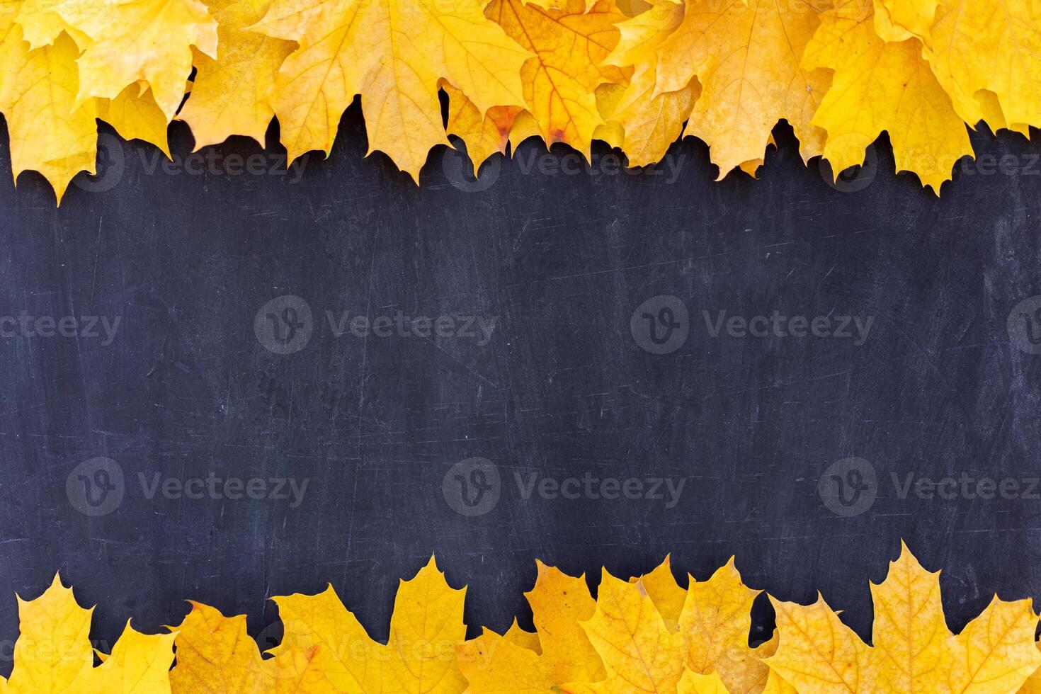 Autumn leaves frame on black background top view Fall Border yellow and Orange Leaves vintage structure table Copy space for text. photo