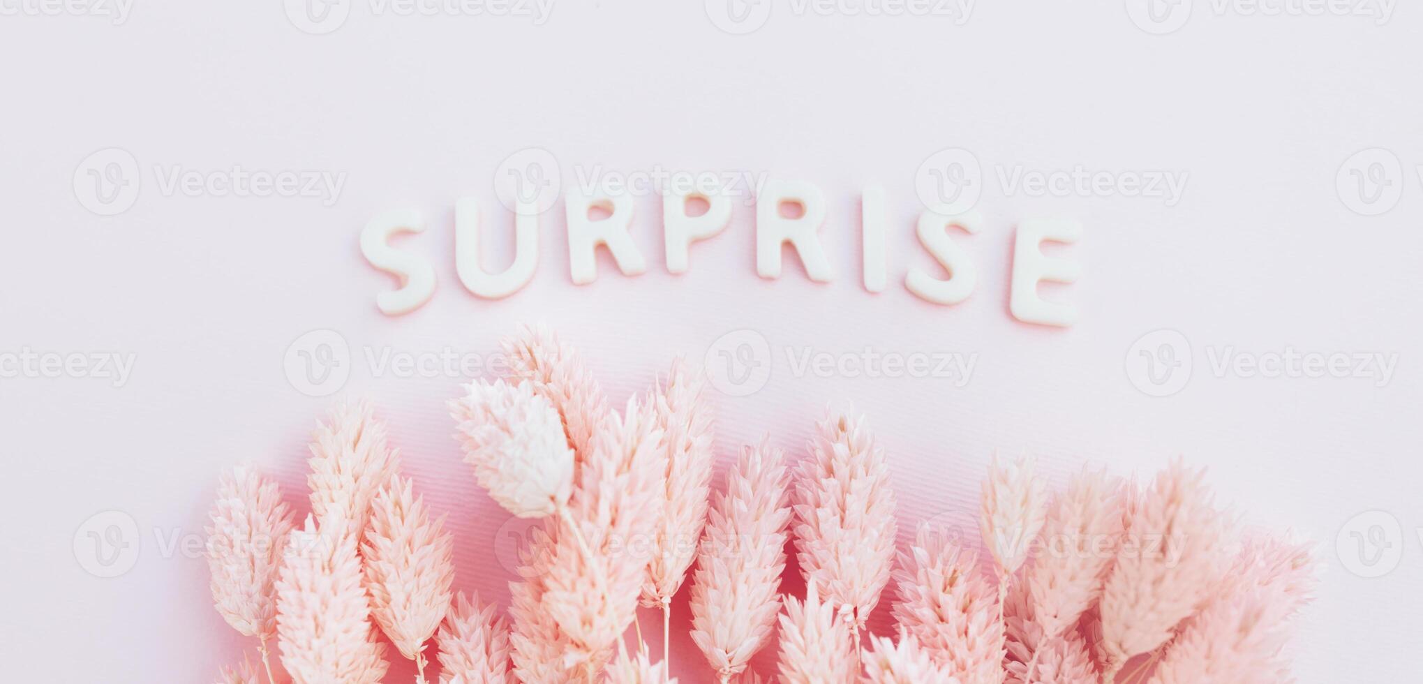 Beautiful pink dried flowers on a pink background with the inscription surprise in white letters and free space for the text photo