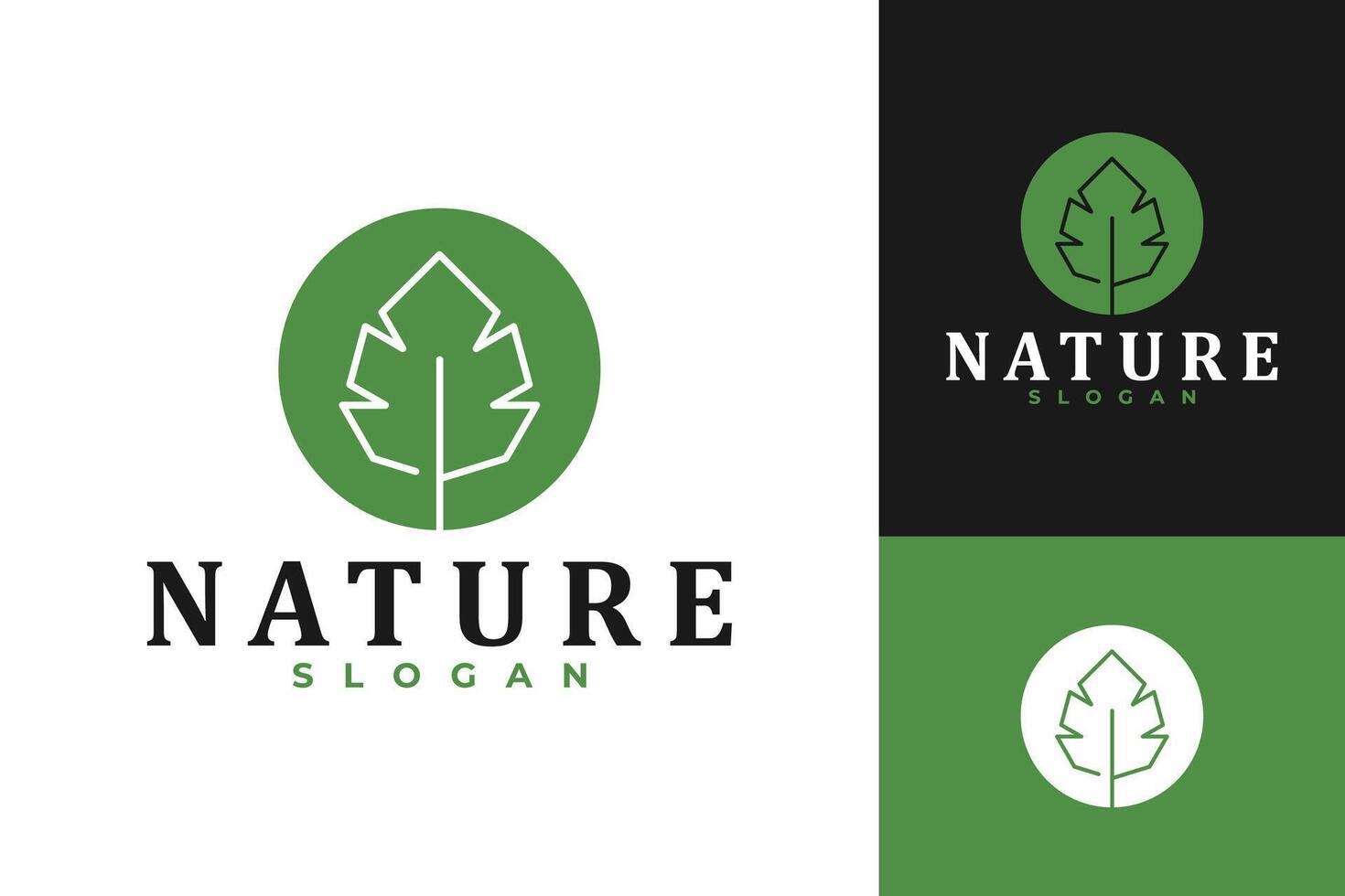 Leaf Nature Herbal Logo Design vector