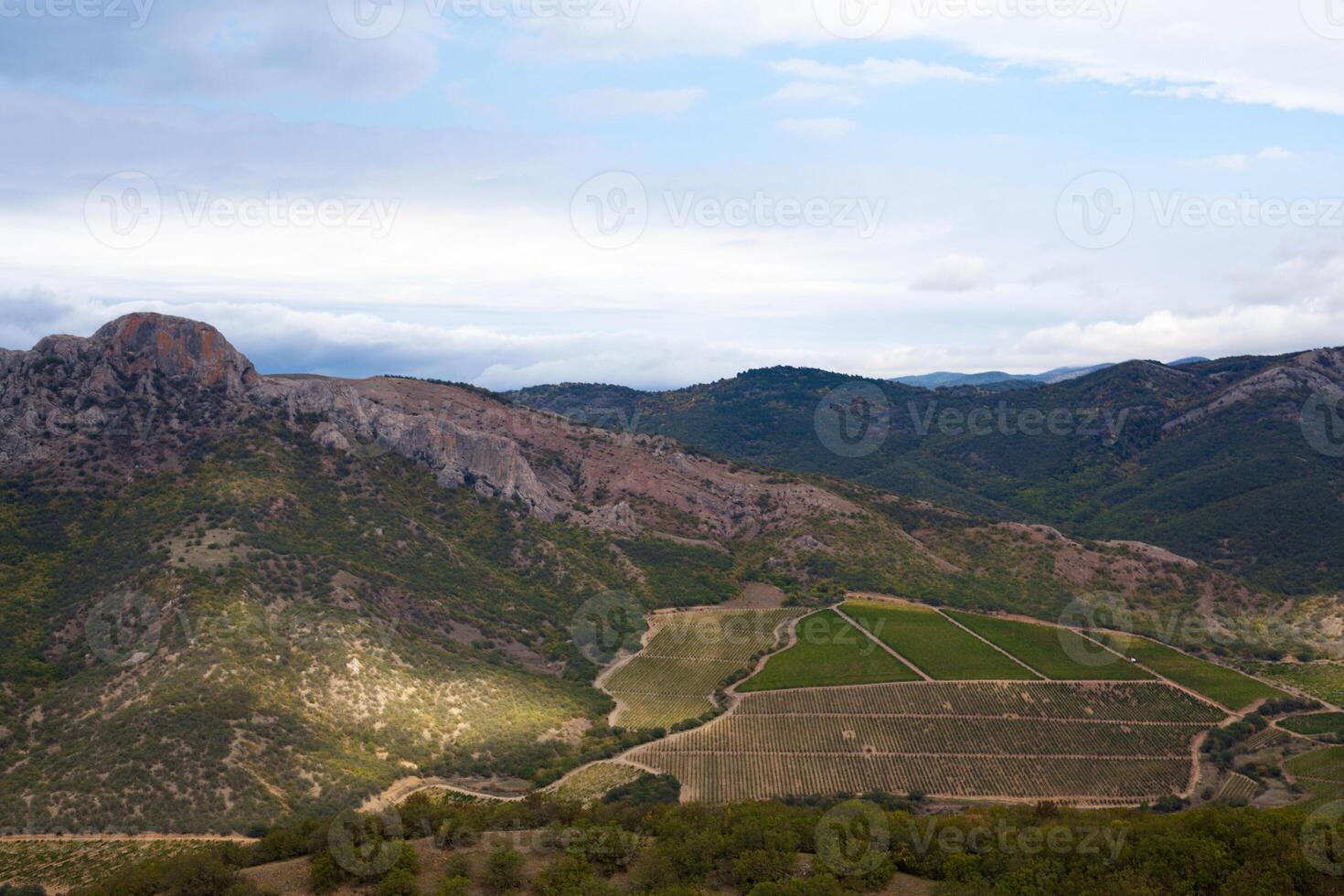 a view of a valley with a mountain in the background photo