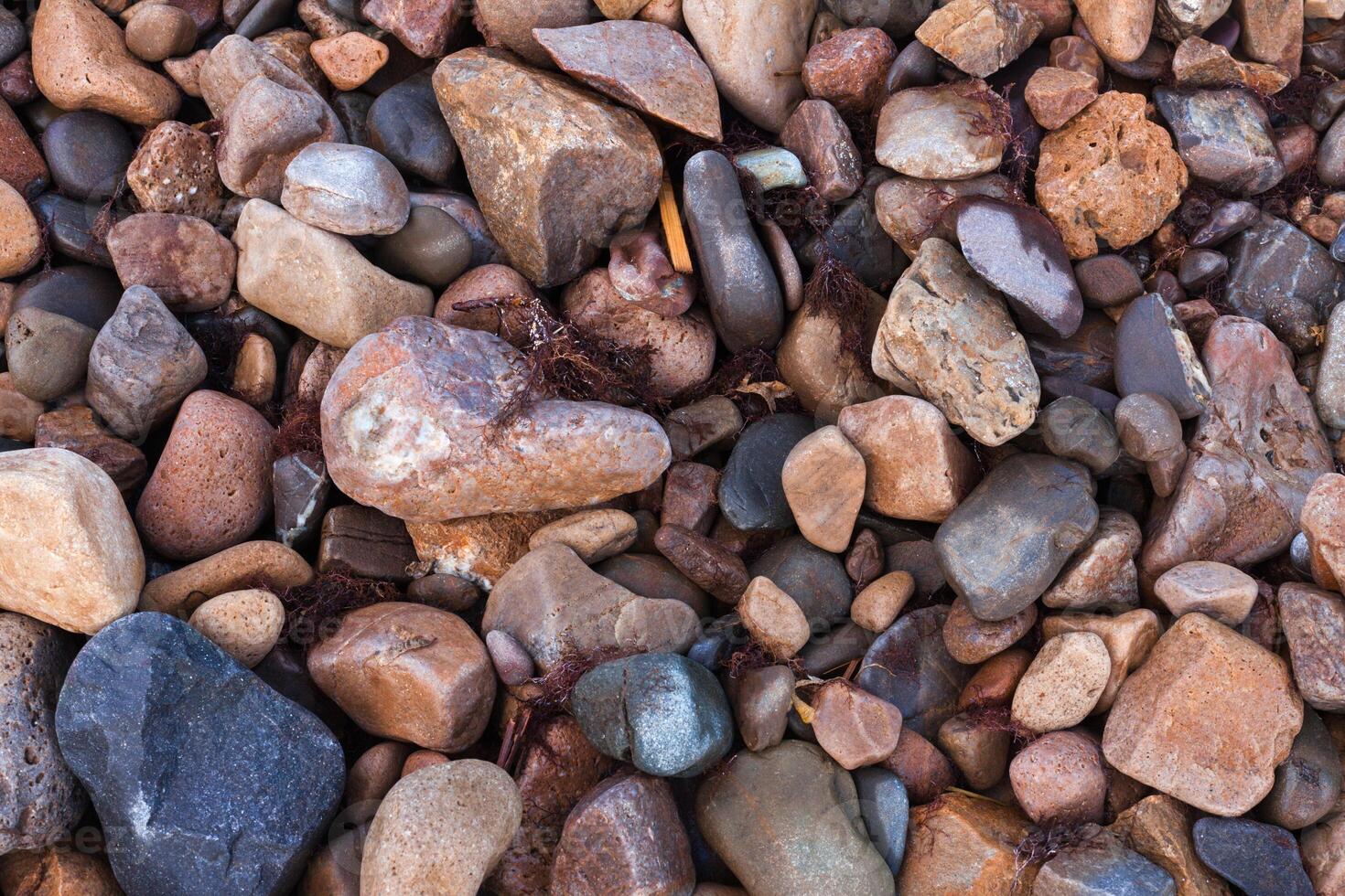 texture of wet shiny small sea stones photo