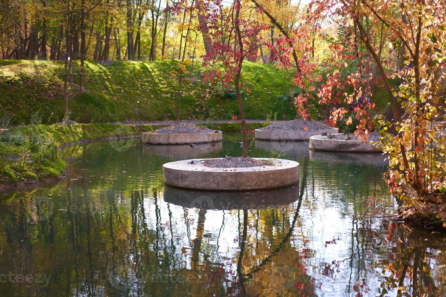 Artificial pond in a city park trees in concrete flowerbeds calm scene. photo