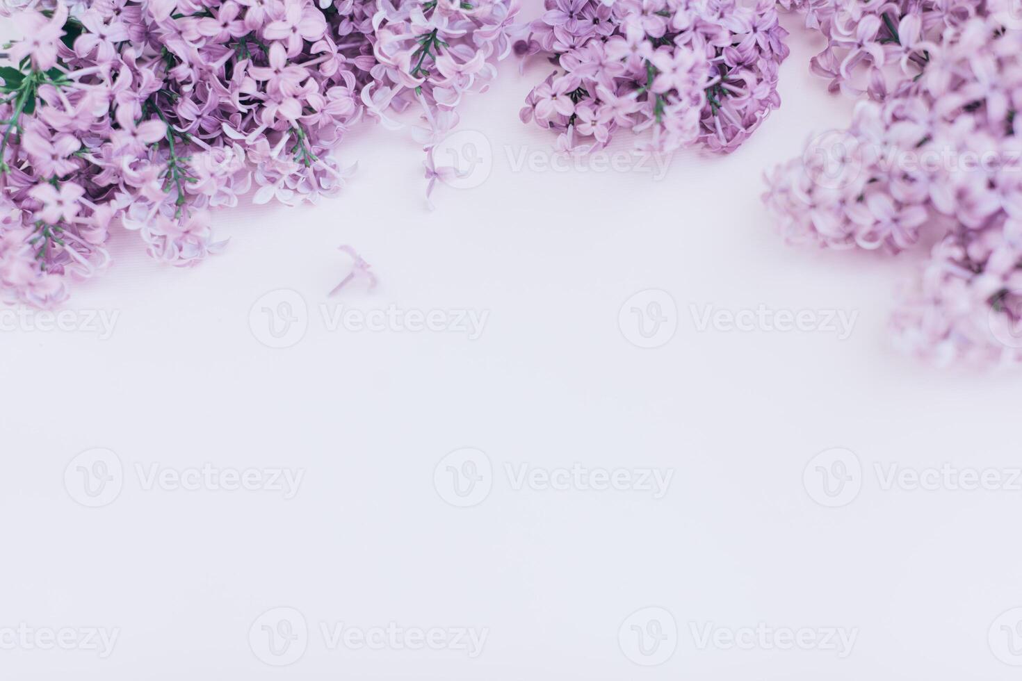 Beautiful floral border with lilacs. With copy-space. photo