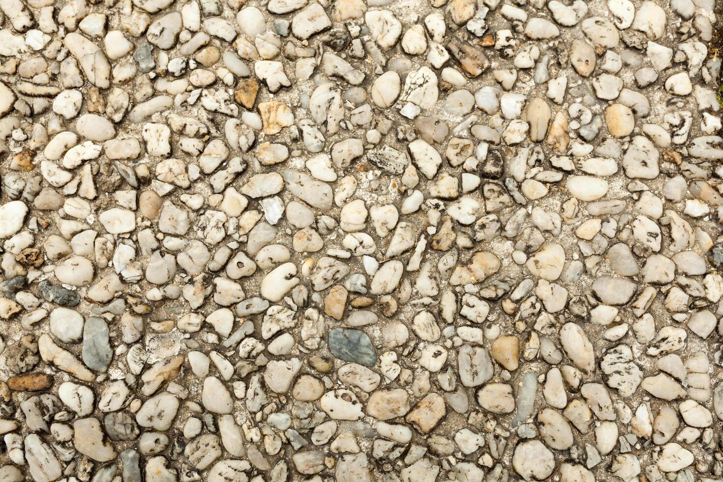 Pebble stone floor tile seamless background. Cement mixed gravel pebble stone floor texture. Wet round pebble stone rock floor in dramatic lighting. photo