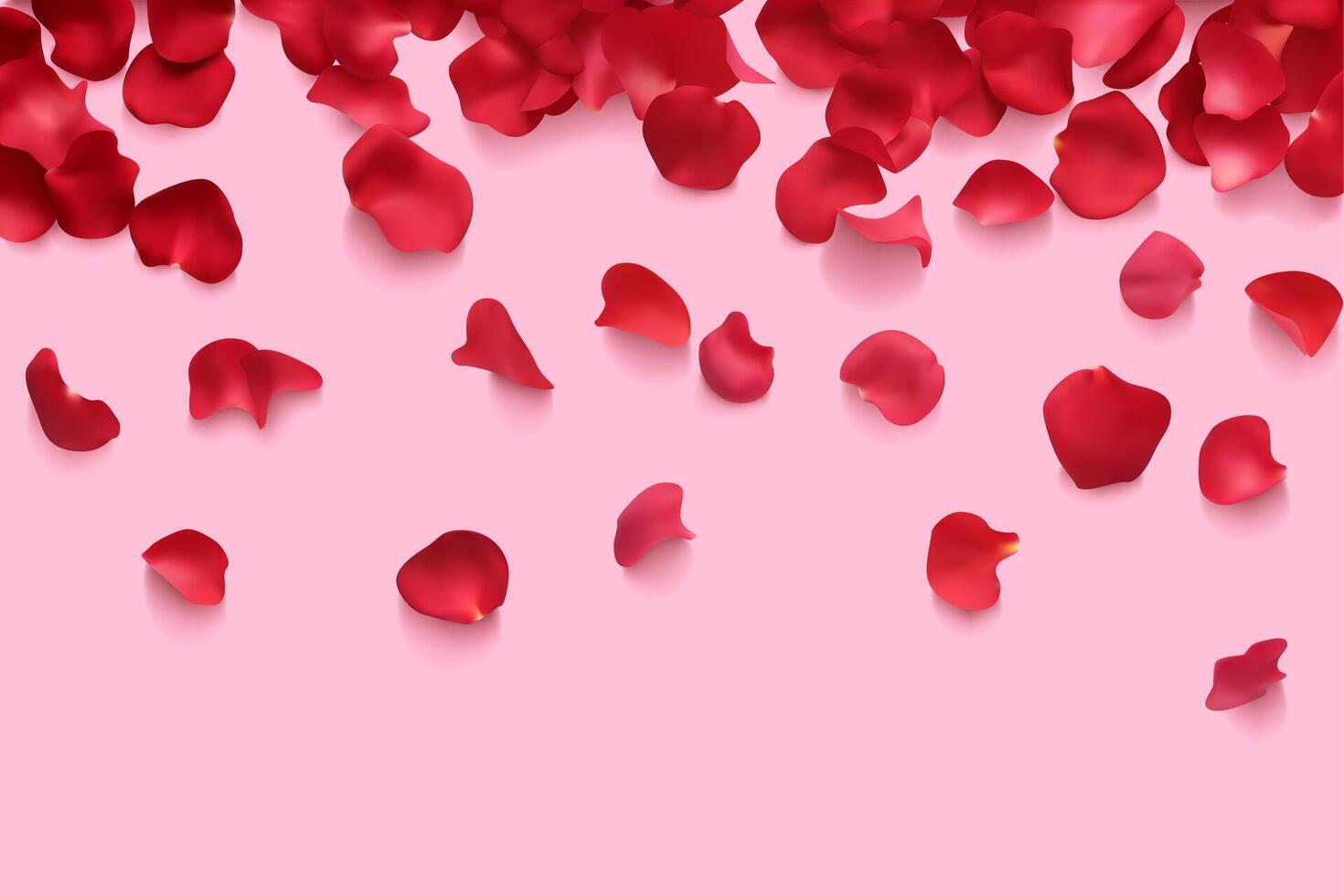 Rosa tulipán rojo pétalos flor antecedentes fiesta romántico saludo rosado bandera 3d realista vector