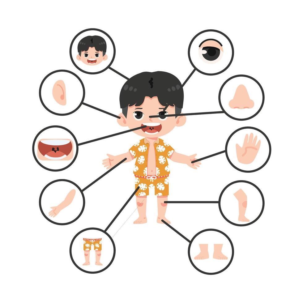 Children with different parts of the body for teaching cartoon vector