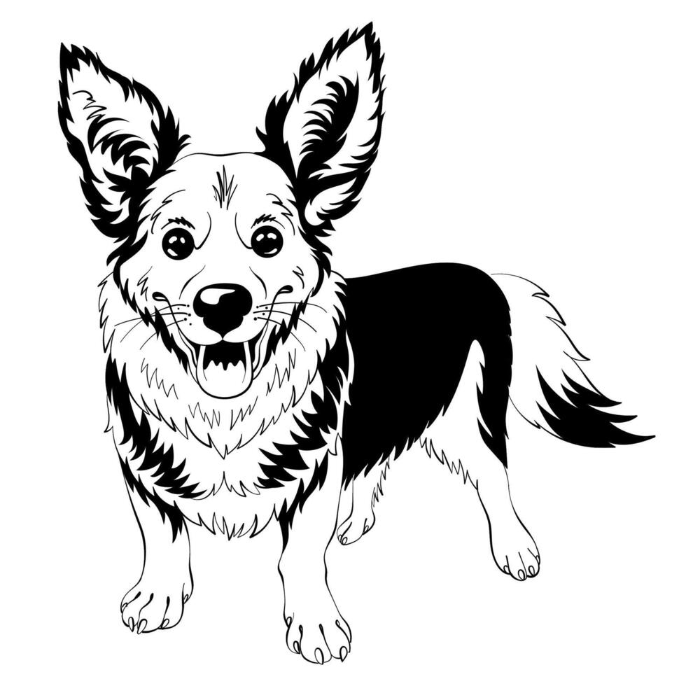 vector bosquejo perro galés corgi sonriente