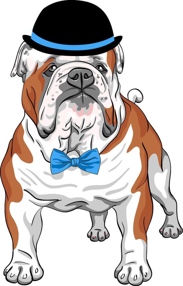 vector hipster dog English Bulldog breed