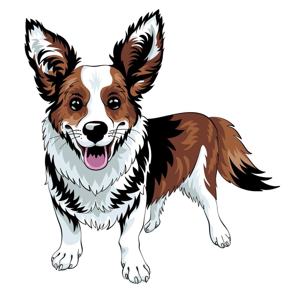 vector bosquejo perro cárdigan galés corgi