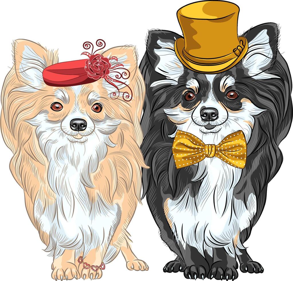 conjunto de perros chihuahua, dama y gentelman vector