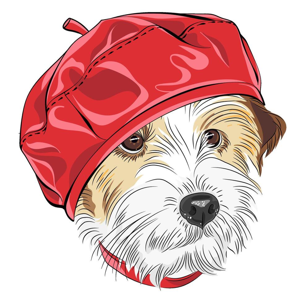 vector bosquejo perro Jack Russell terrier raza