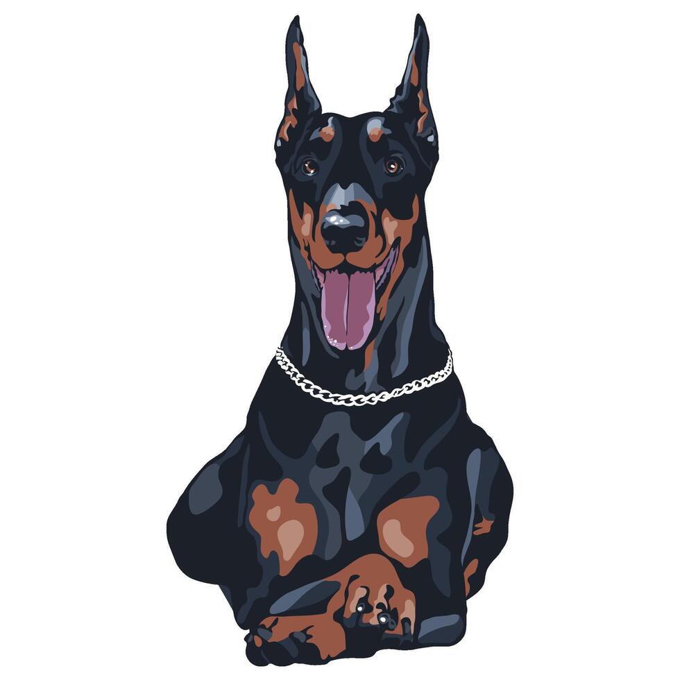 Dog Doberman Pinscher breed vector