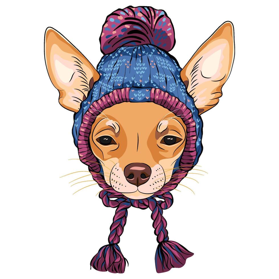 vector hipster perro chihuahua en calentar sombrero