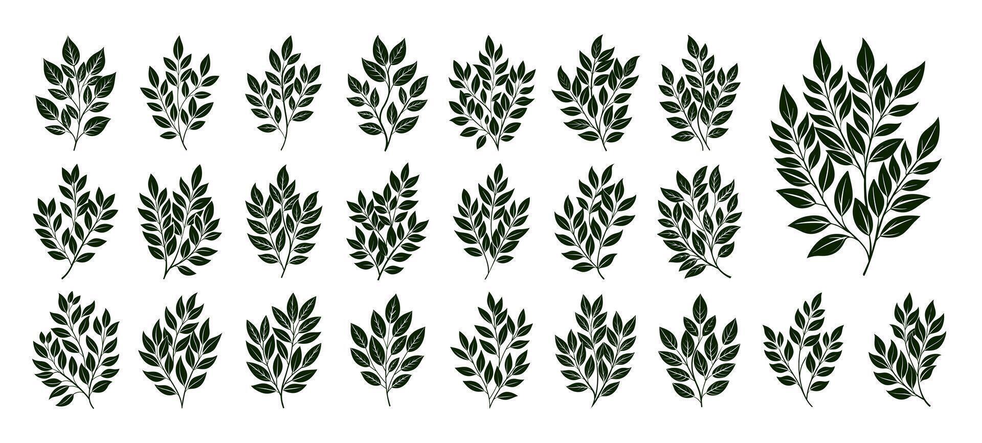 AI generated Collection of nature leaf branch illustration design vector