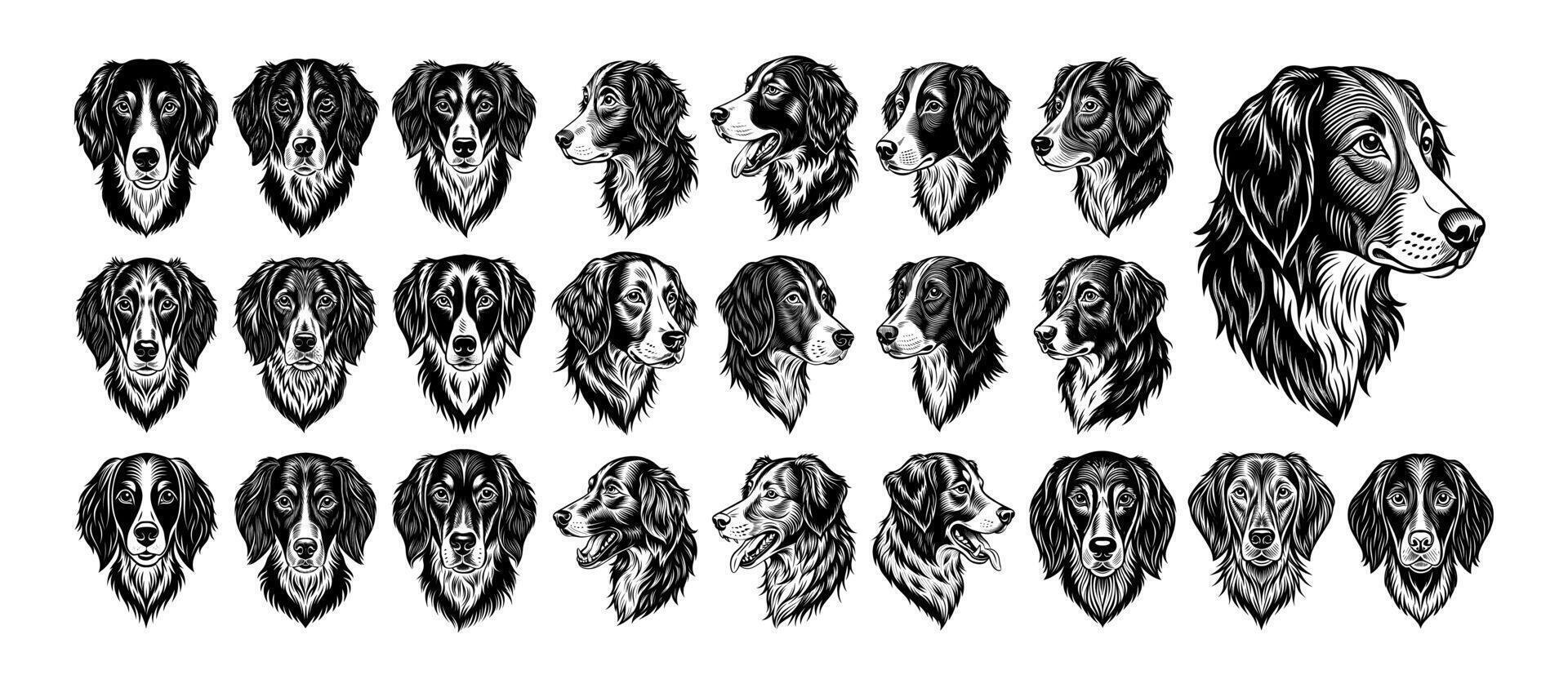 AI generated Collection of hand drawn brittany dog head design vector