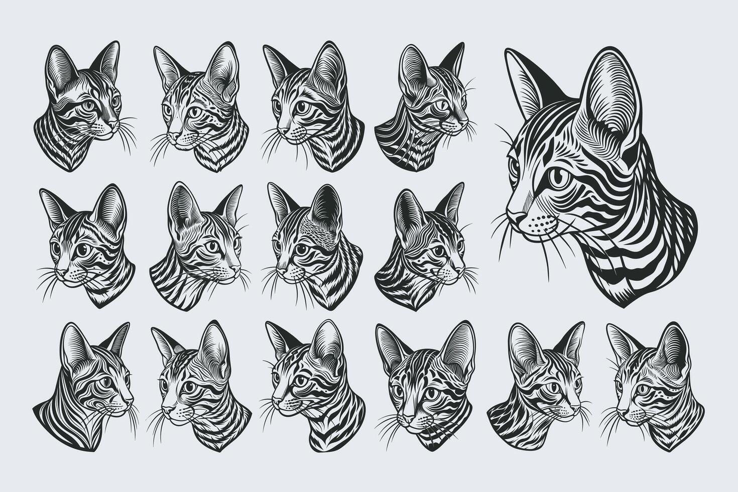 AI generated Profile side view drawing ocicat head illustration design set vector