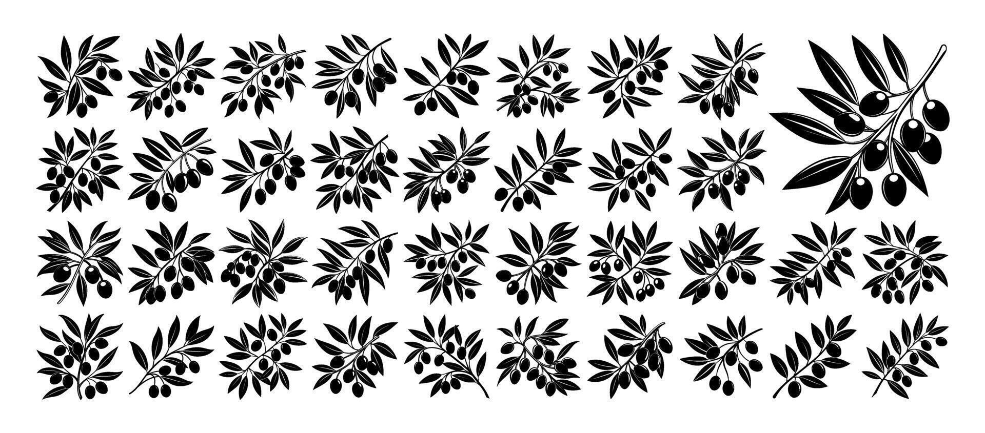 AI generated Bundle of olive branch silhouette design template vector