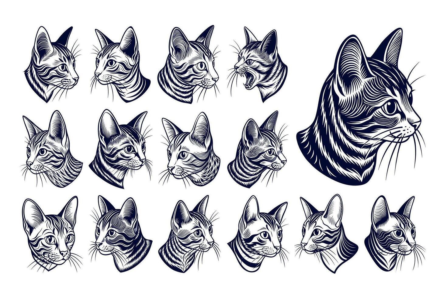 AI generated Cute engraving side view burmilla cat head illustration design set vector