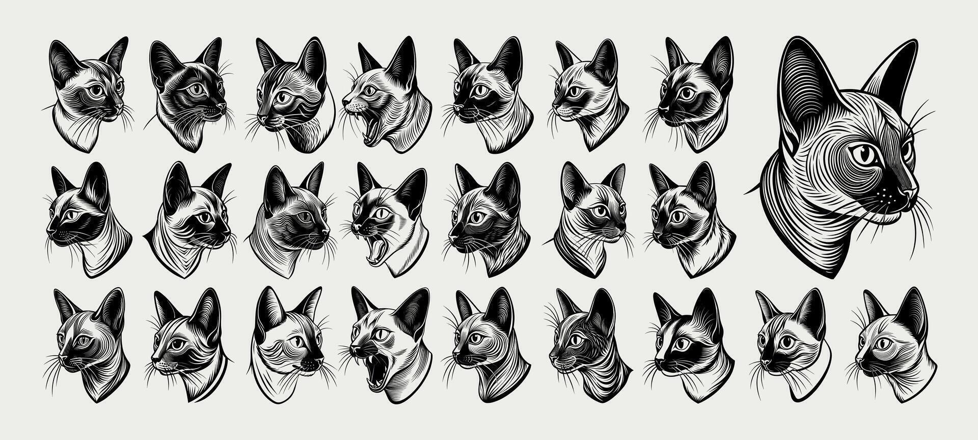 AI generated Collection of tonkinese cat head in side view silhouette design vector