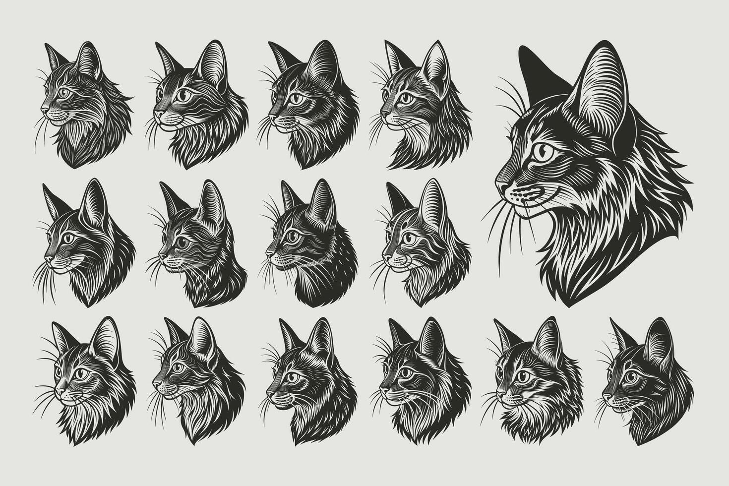 AI generated Set of drawing side view somali cat head silhouette design vector