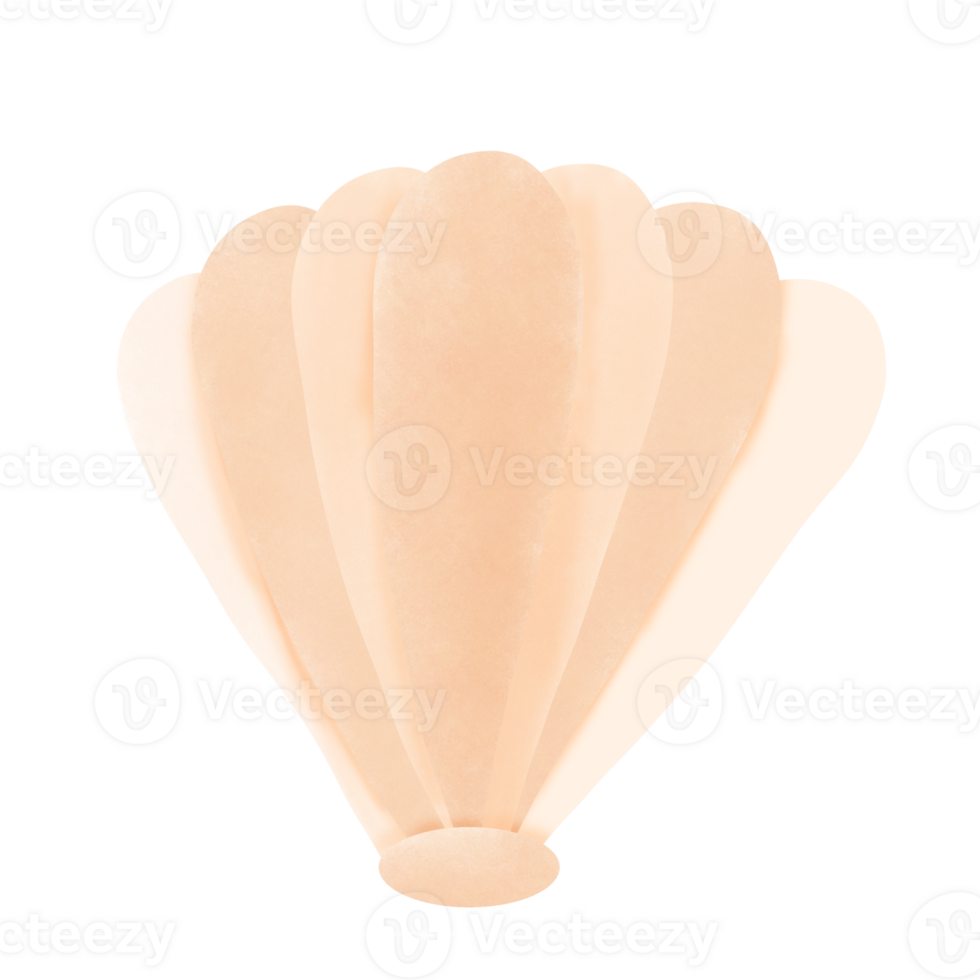 Watercolor shell illustration png