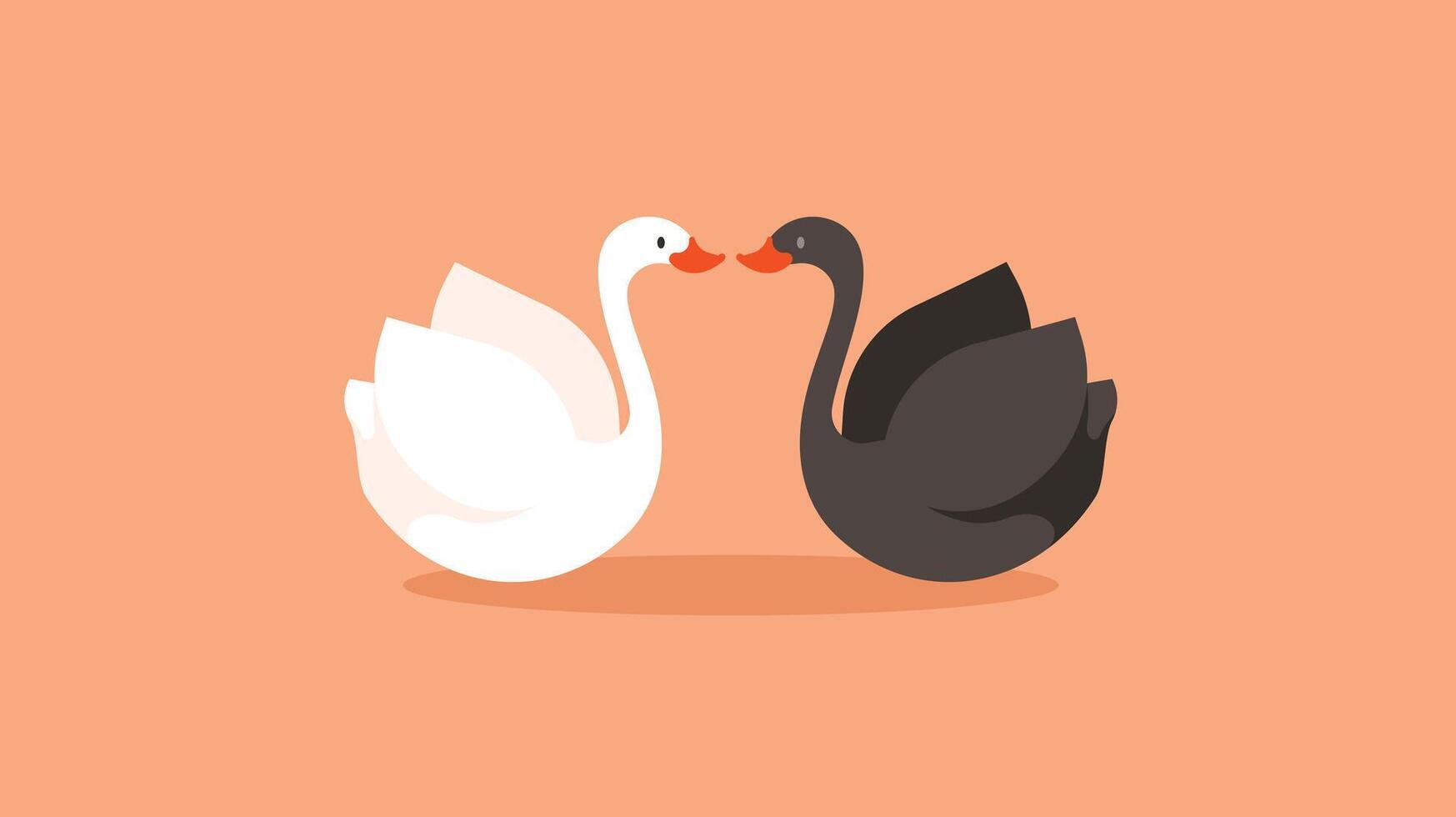 swan mates isolated vector illustration