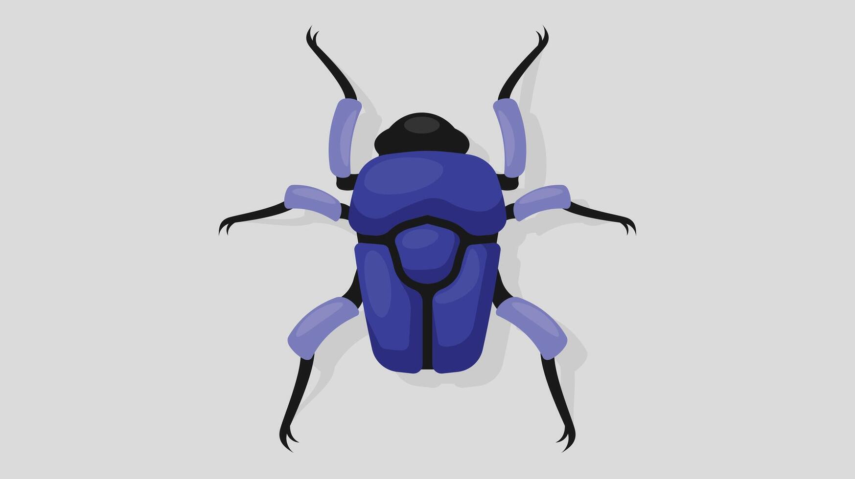 Insects and spiders isolated vector illustration