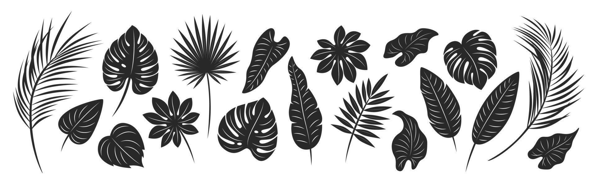 Set of black silhouettes of different palm leaves isolated on a white background. Vector illustration