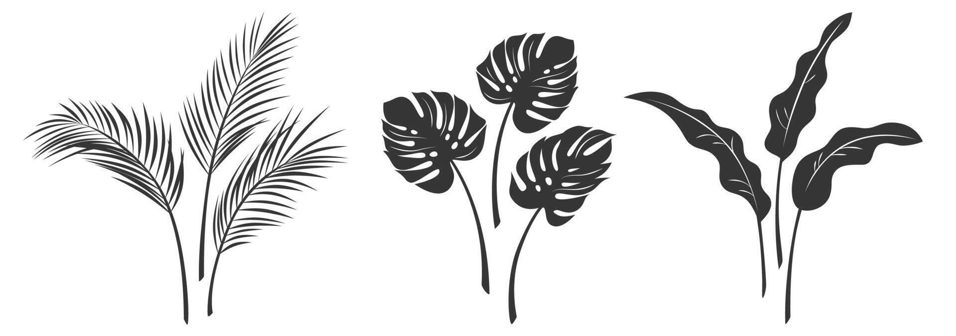 Set of silhouettes of palm leaves isolated on a white background. Vector illustration