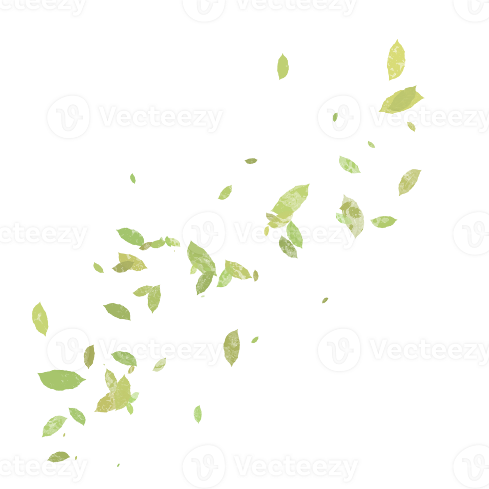 leaves blowing in the wind, Leafs, L leaves falling. png