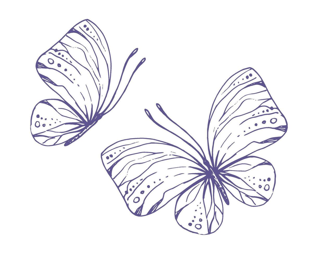 delicado mariposas con patrones en el alas, simple, dulce, luz, romántico. ilustración gráficamente dibujado a mano en lila tinta en línea estilo. conjunto de aislado eps vector objetos